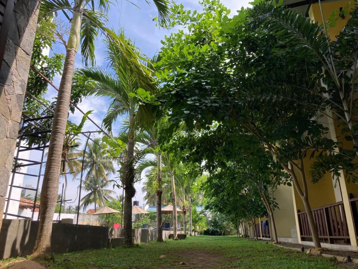 Handagedara Resort & Spa Mirissa Ngoại thất bức ảnh