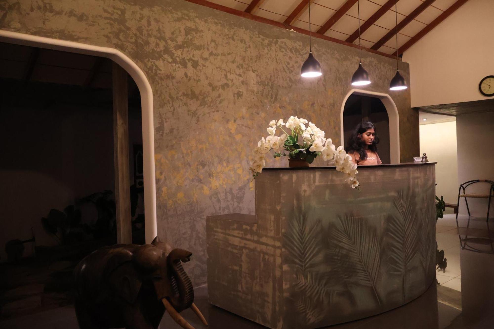 Handagedara Resort & Spa Mirissa Ngoại thất bức ảnh
