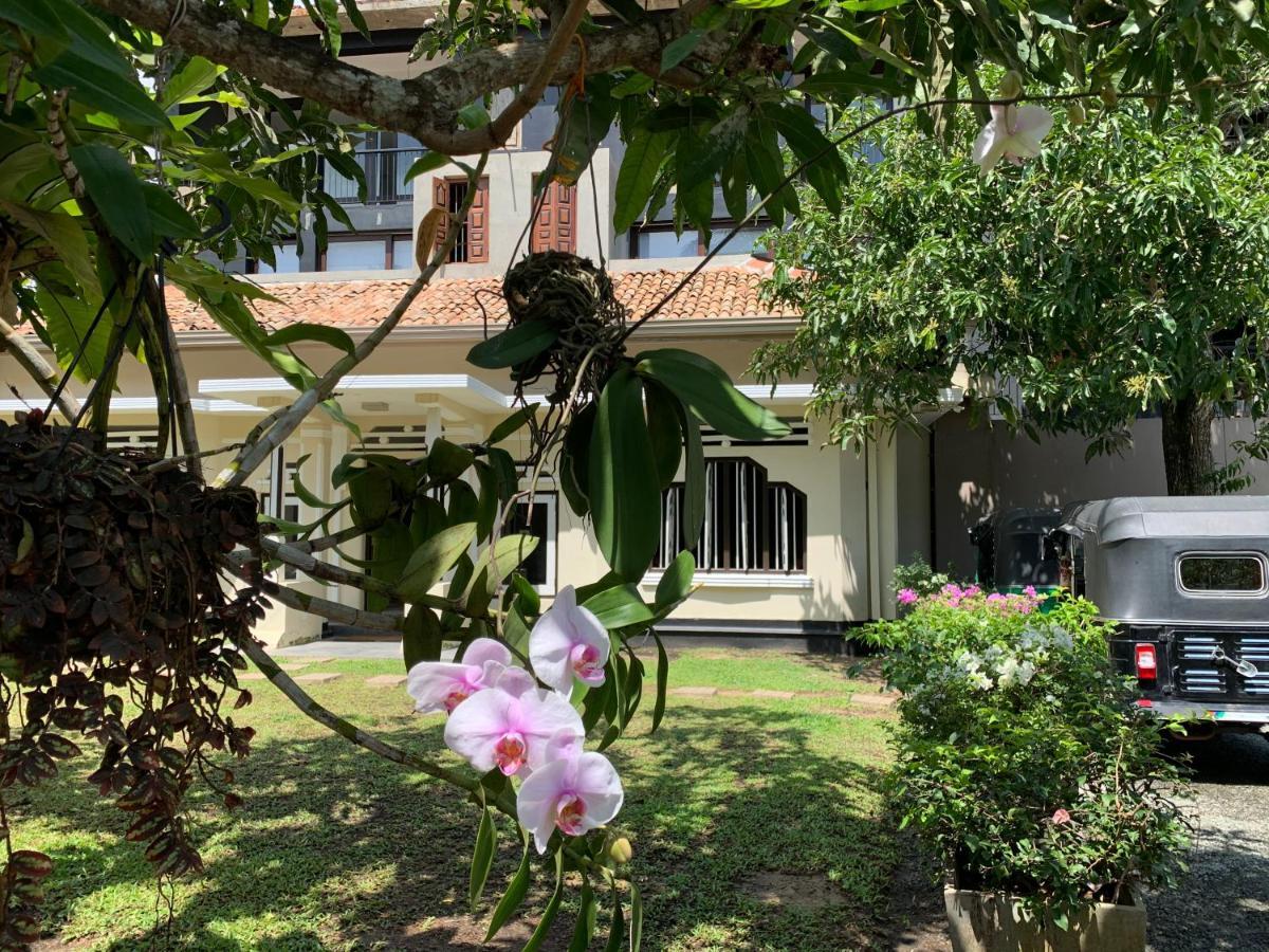 Handagedara Resort & Spa Mirissa Ngoại thất bức ảnh